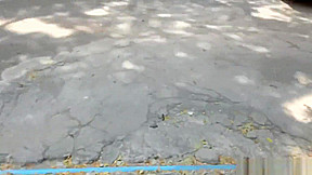 HelloLadyboy - Four - Date
