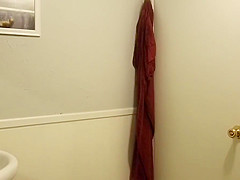 Hidden bathroom 2