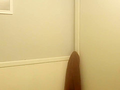 Hidden bathroom 2