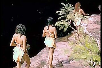 Homo Sapiens