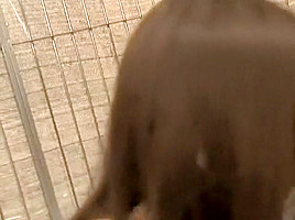 Horny Japanese slut in Best Amateur, Threesome JAV movie