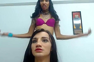 Horny xxx scene transsexual Shemale Fucks Shemale exclusive unique