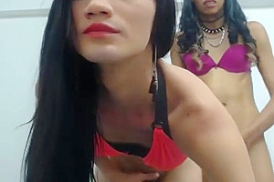 Horny xxx scene transsexual Shemale Fucks Shemale exclusive unique