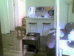 Hottest Showers Clip , Watch It