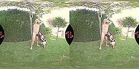 Hung out to dry starring Antonia Sainz