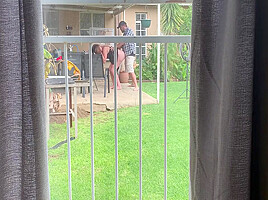 I Caught My Neighbours Fucking Outside In The Backyard 9 Min