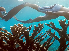 Into the Blue (2005) Jessica Alba