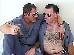 Jail Abode Hirsute Bear's Ding-Dong