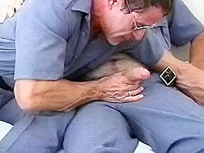 Jail Abode Hirsute Bear's Ding-Dong