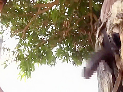 Japanese Mature Wife Fucks A Bbc In Africa