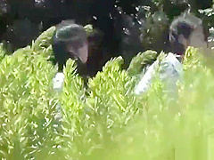 Japanese teenage skanks pissing