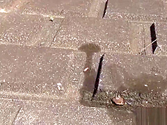 Japanese teenage skanks pissing