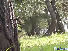 Kinky Japanese Pee Park