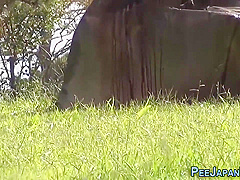 Kinky Japanese Pee Park