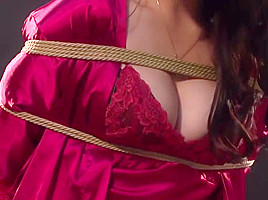 LIGUI Bondage 11