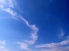 LXE719-UAXDRZLSYC307129310