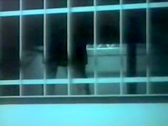Lisa De leeuw, Ginger Lynn - Blow - Off(movie)
