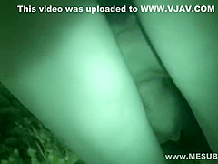 M-201 - In Nature 01