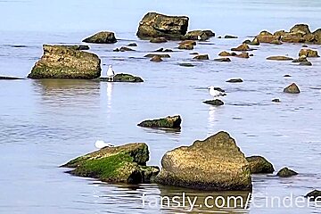 On The Shore