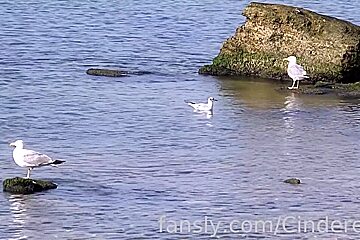 On The Shore