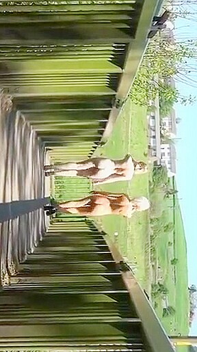 Out for a walk 2
