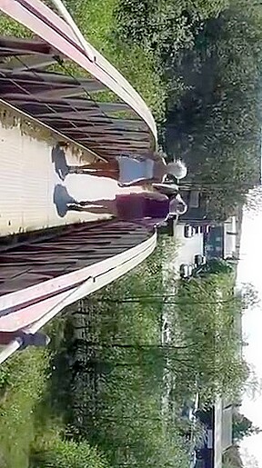 Out for a walk 2