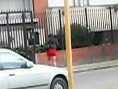 Que mini
