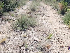 Risky Masturbation On A Hiking Trail