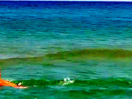 SEA SEX AND SUN;