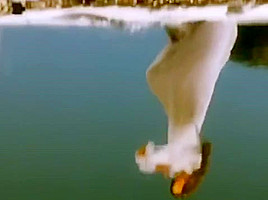 Satrangi re - dil se
