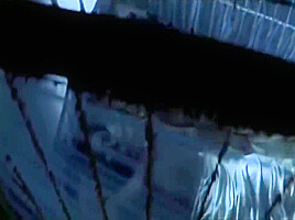 Seema Rahmani hot scenes from movie Sins