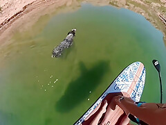 Sex On A Paddle Board