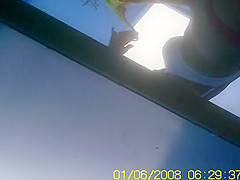 Shows Showers Clip , Watch It