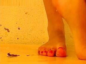 Silvia barefoot cricket crush playful