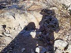Slurping Cum From Hand On Hike With Mya Lane