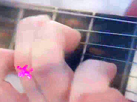 Song Of Love And Passion