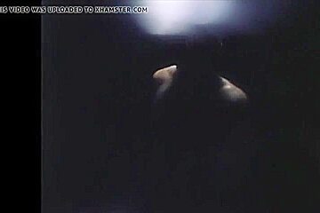 Spread Eagles Gay Porn Videos (full Vintage Sex Boys)