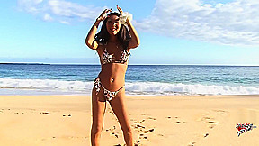 Sthellos guymale Karina Solo