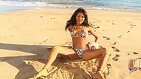 Sthellos guymale Karina Solo