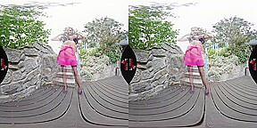 Striptease in the Park starring Vanessa Angel
