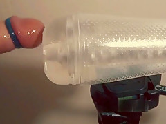 Swollen cock in cock rings milked