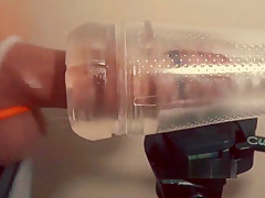 Swollen cock in cock rings milked