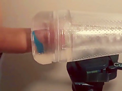 Swollen cock in cock rings milked