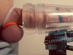 Swollen cock in cock rings milked