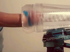 Swollen cock in cock rings milked
