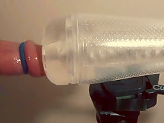 Swollen cock in cock rings milked