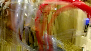 TIED UP AND MILKED BITCHES 2