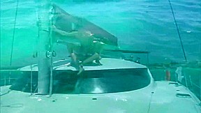 Take me out to your fuck boat - Foerster Media