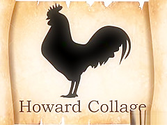The Struggle for Black Cock