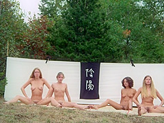 The Vixens Of Kung Fu 1975